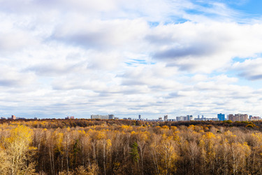 Similar image 21316371