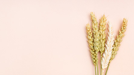 Similar image 21316379