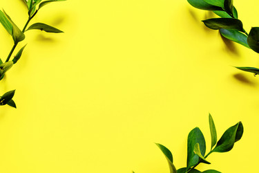 Similar image 21332094