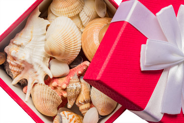 Similar image 21332095