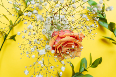 Similar image 21332099