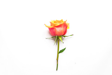 Similar image 21332862