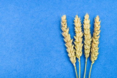 Similar image 21315623