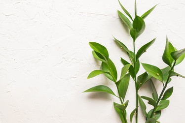 Similar image 21333176