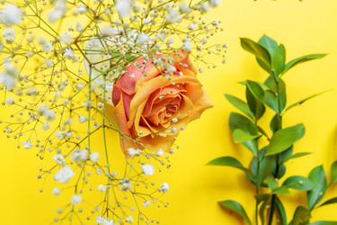 Similar image 21333182