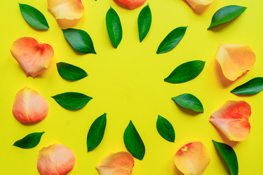 Similar image 21333191