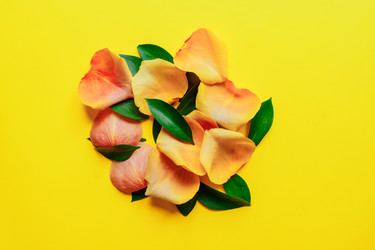 Similar image 21333195