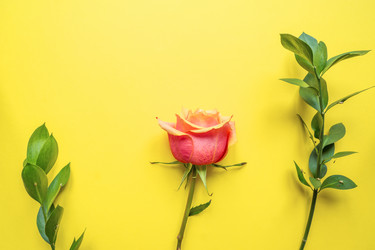 Similar image 21333206