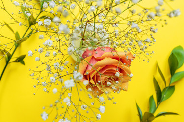 Similar image 21333210