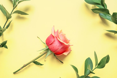 Similar image 21333212