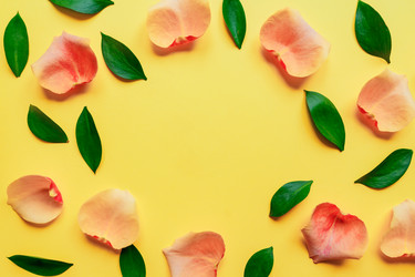 Similar image 21333218