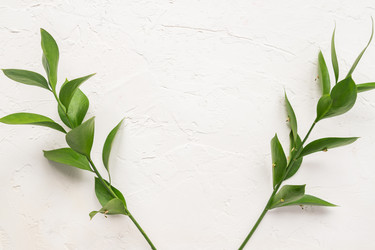 Similar image 21332104