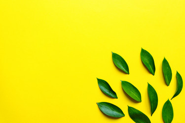 Similar image 21332106