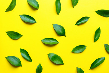 Similar image 21332109