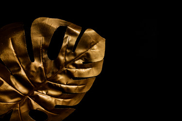 Similar image 21332113