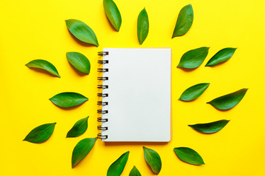 Similar image 21332114