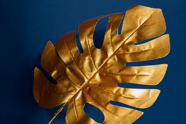 Similar image 21332898