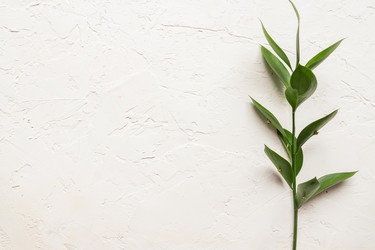 Similar image 21332900