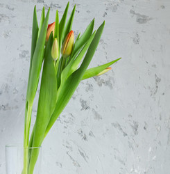 Similar image 21332907