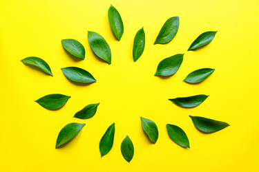 Similar image 21332909