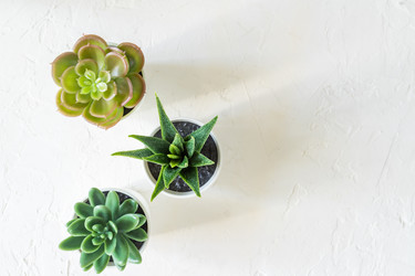 Similar image 21332916