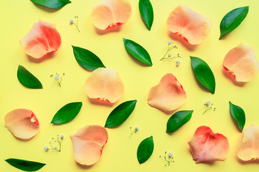 Similar image 21332917