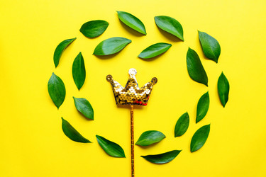 Similar image 21332920