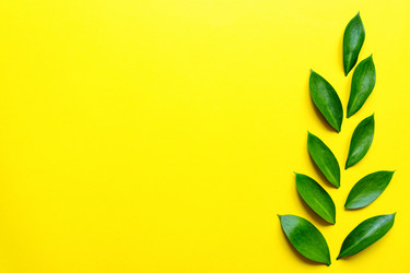 Similar image 21332921