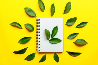 Similar image 21332925