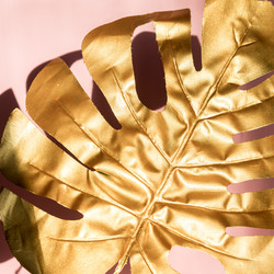 Similar image 21333267