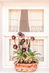 Similar image 21325898