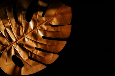 Similar image 21332659