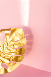 Similar image 21332677