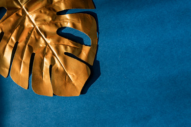 Similar image 21332678