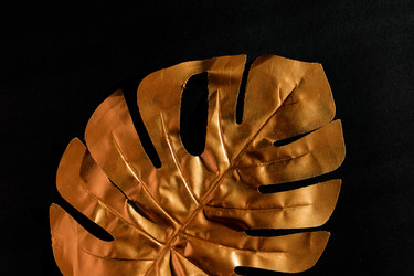 Similar image 21332679