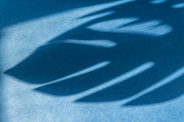 Similar image 21332701