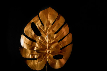 Similar image 21332702