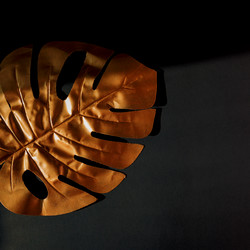 Similar image 21332947