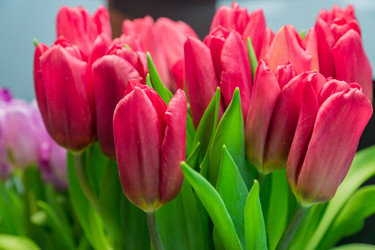 Similar image 21333316