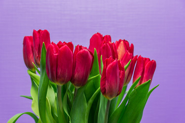 Similar image 21333317