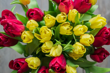 Similar image 21333320