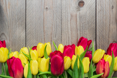 Similar image 21333323