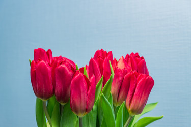 Similar image 21333327