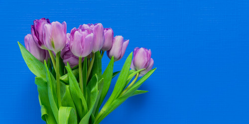 Similar image 21333330