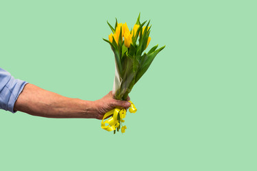 Similar image 21333336