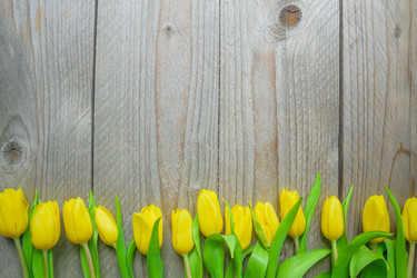 Similar image 21333338