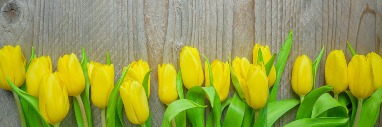 Similar image 21333342