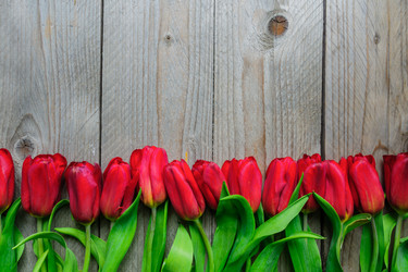 Similar image 21333344