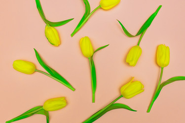 Similar image 21333346