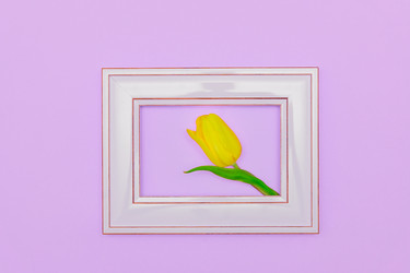 Similar image 21333351